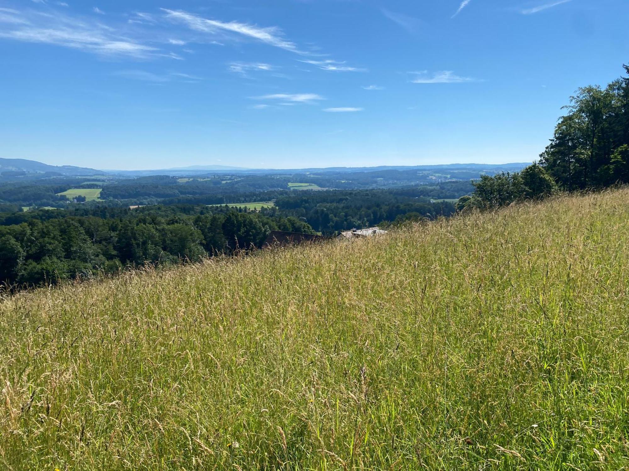 Wohnen Zwischen Golf Und Therme Bad Waltersdorf Buitenkant foto