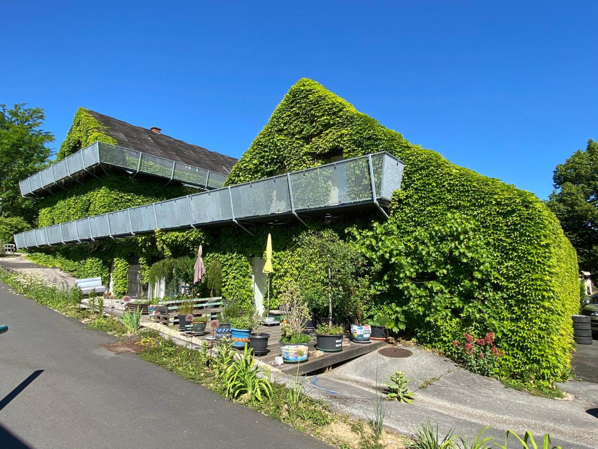 Wohnen Zwischen Golf Und Therme Bad Waltersdorf Buitenkant foto